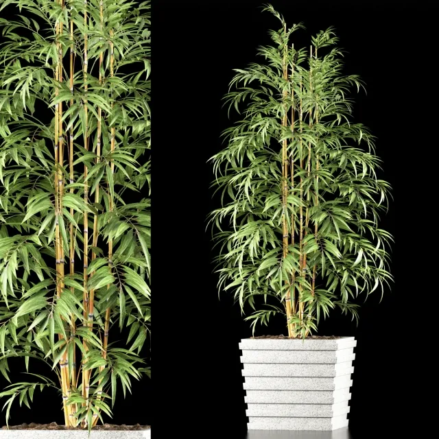 decoration – BAMBOO PLANT 61 3ds Max