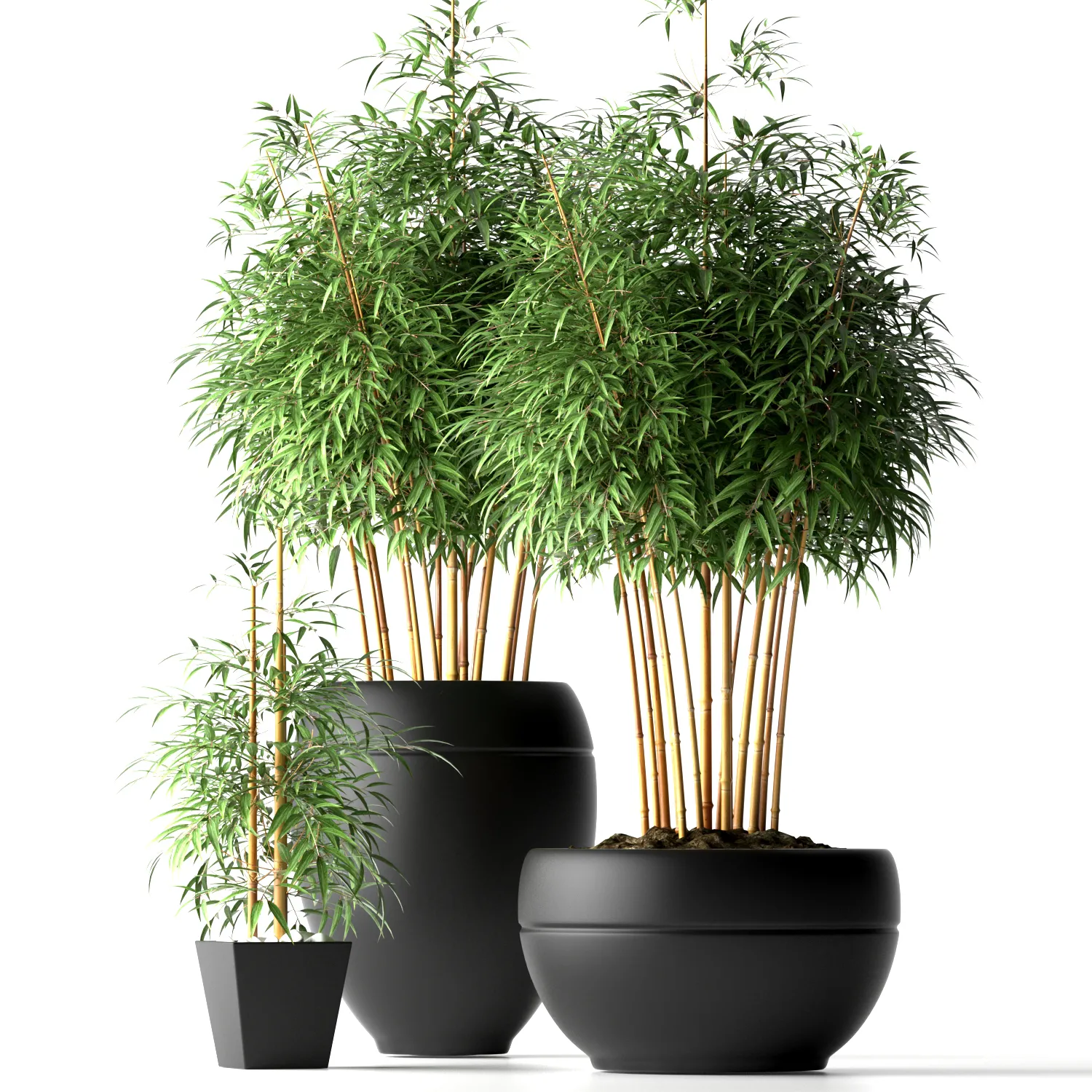 decoration – Bamboo plants 04 3ds Max