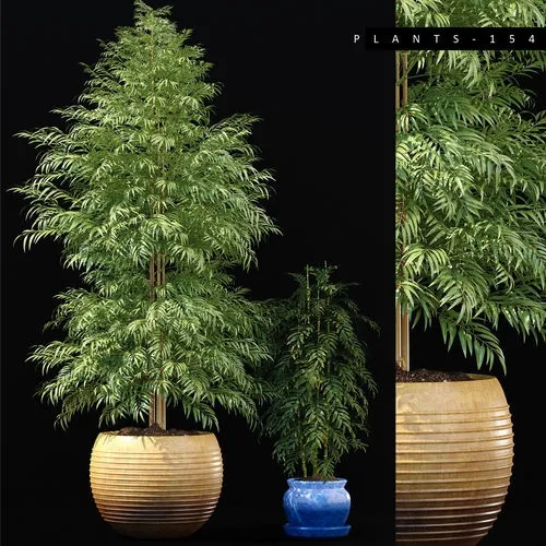 decoration – BAMBOO PLANTS 154 3ds Max