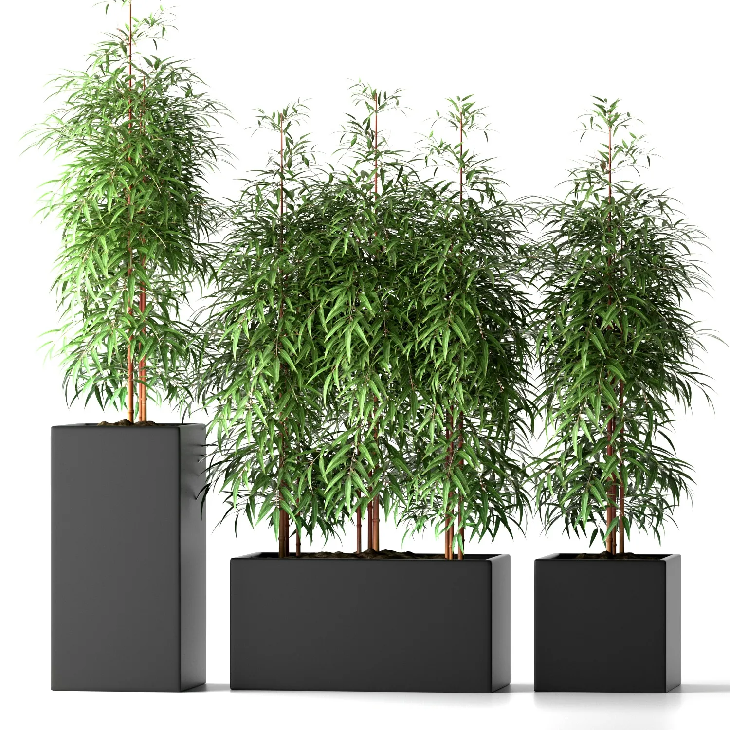 decoration – Bamboo plants 20 3ds Max