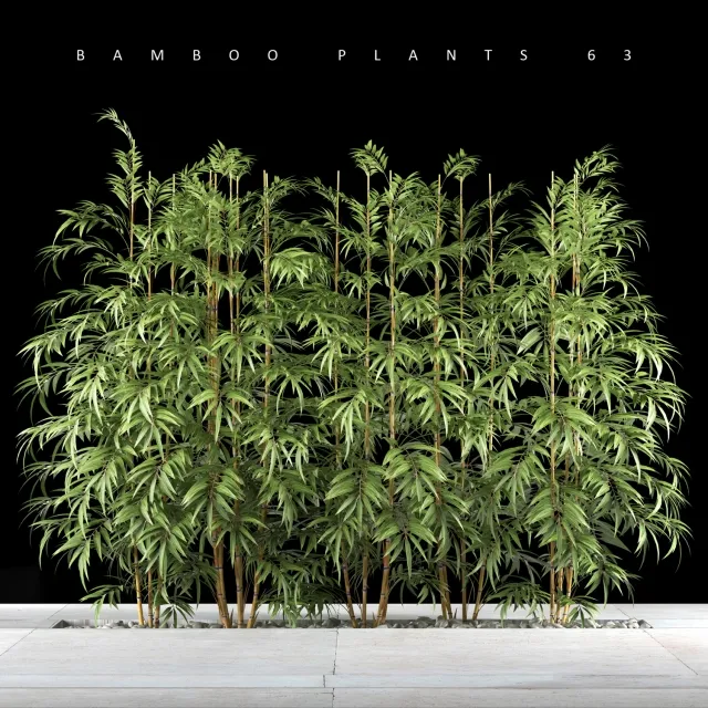decoration – BAMBOO PLANTS 63 3ds Max