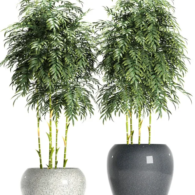 decoration – BAMBOO PLANTS 96 3ds Max