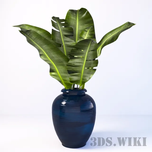 decoration – Banana leaves in a vase 3ds Max