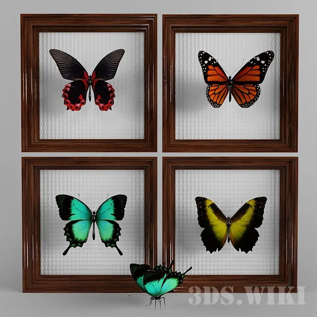 decoration – Beautiful butterflies 3ds Max