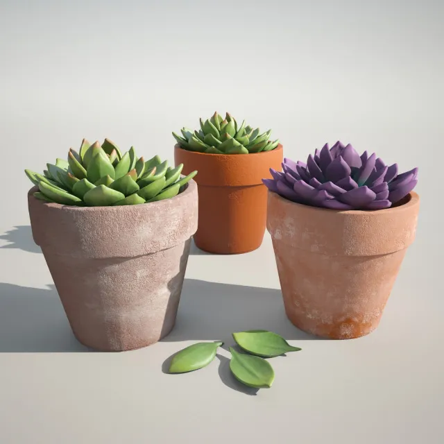 decoration – Beautiful decorative plants 3ds Max