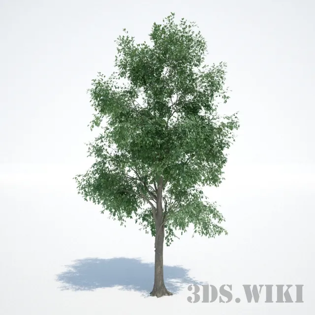 decoration – Beautiful decorative tree for the exterior 3ds Max