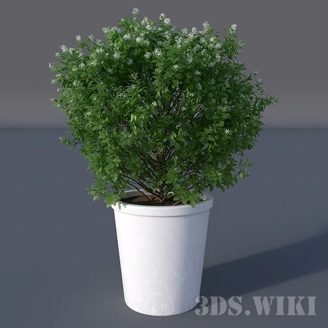 decoration – Beautiful flowering plant 3ds Max