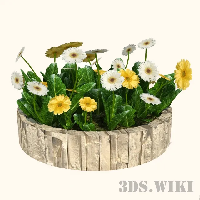 decoration – Beautiful flowers in a round wooden pot 3ds Max