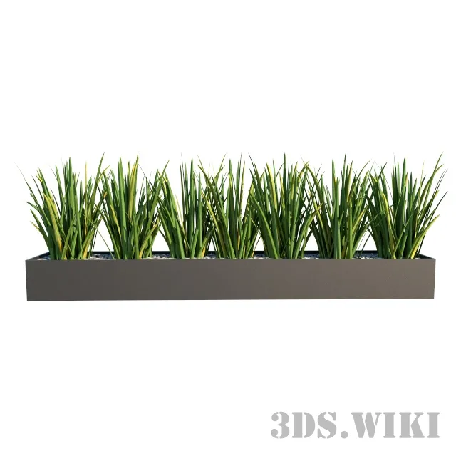 decoration – Beautiful indoor plants 3ds Max