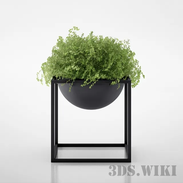 decoration – Beautiful plant – bush 3ds Max