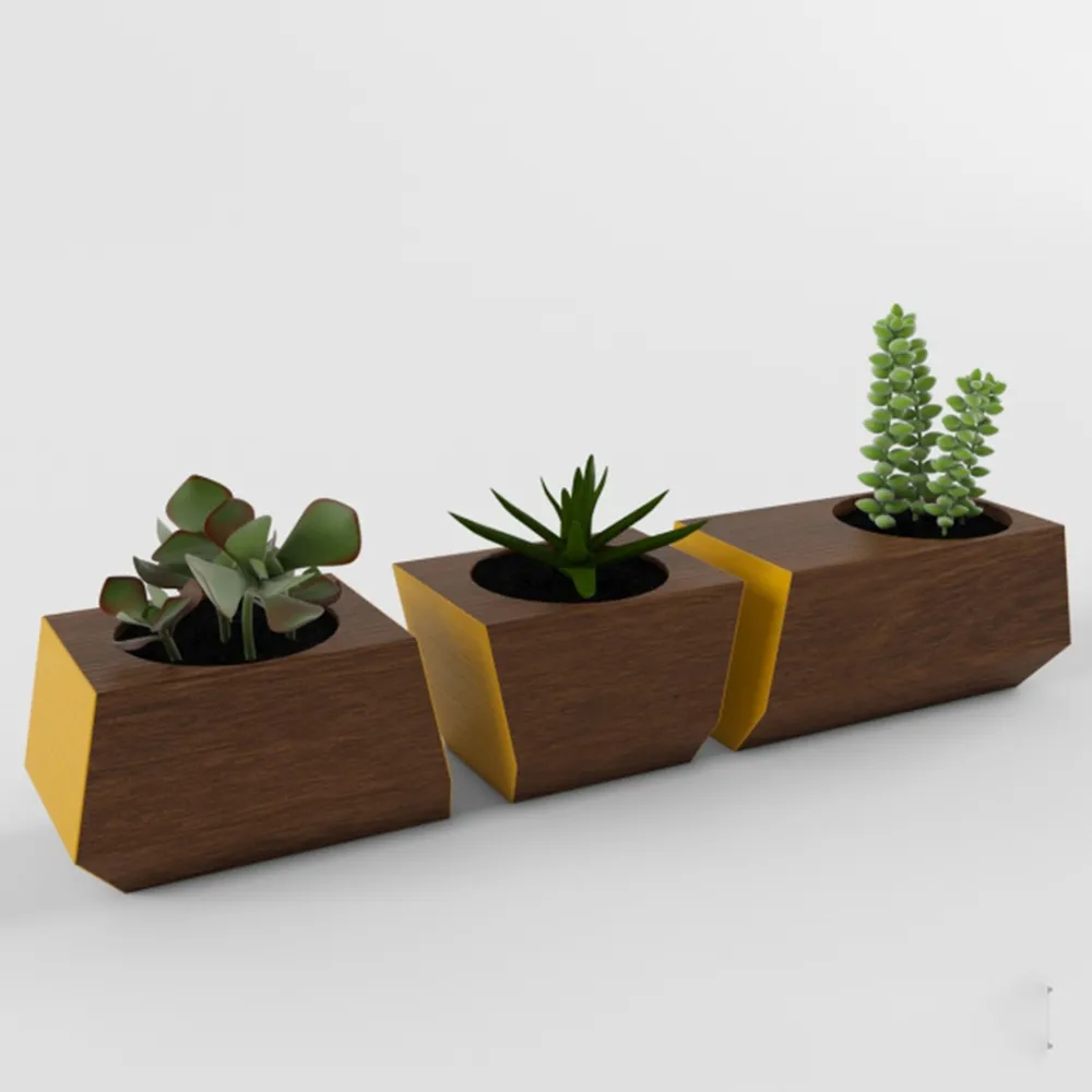 decoration – Beautiful plants 3ds Max