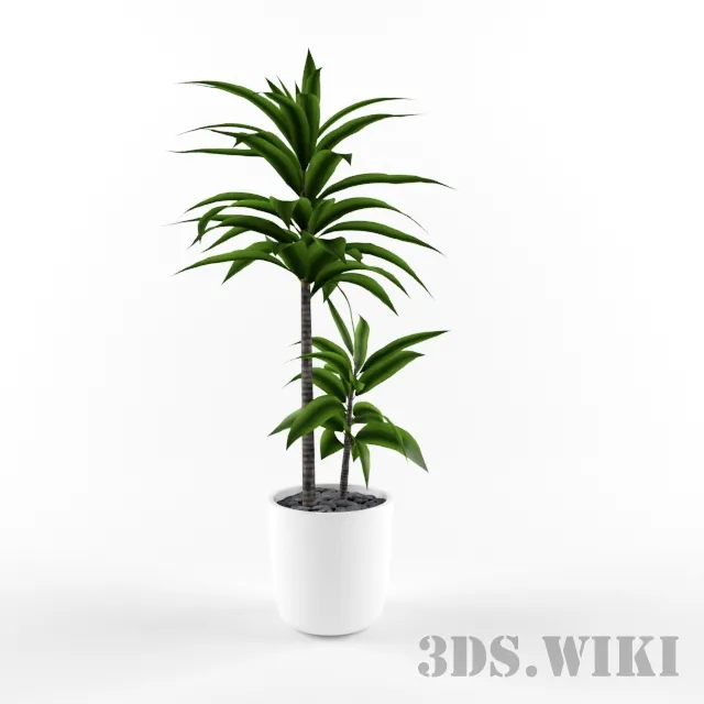 decoration – Beautiful plants in a pot 3ds Max