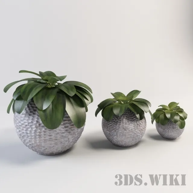 decoration – Beautiful plants in beautiful vases 3ds Max