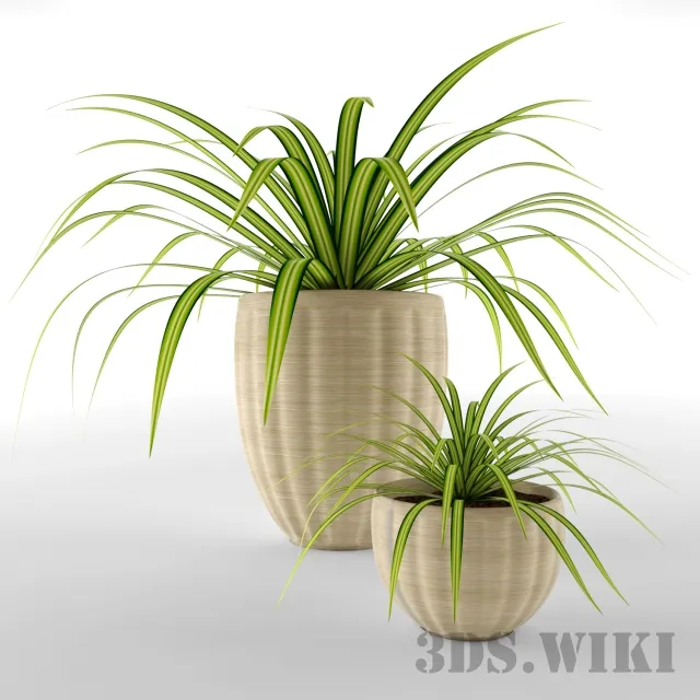 decoration – Beautiful Potted Plant 3ds Max