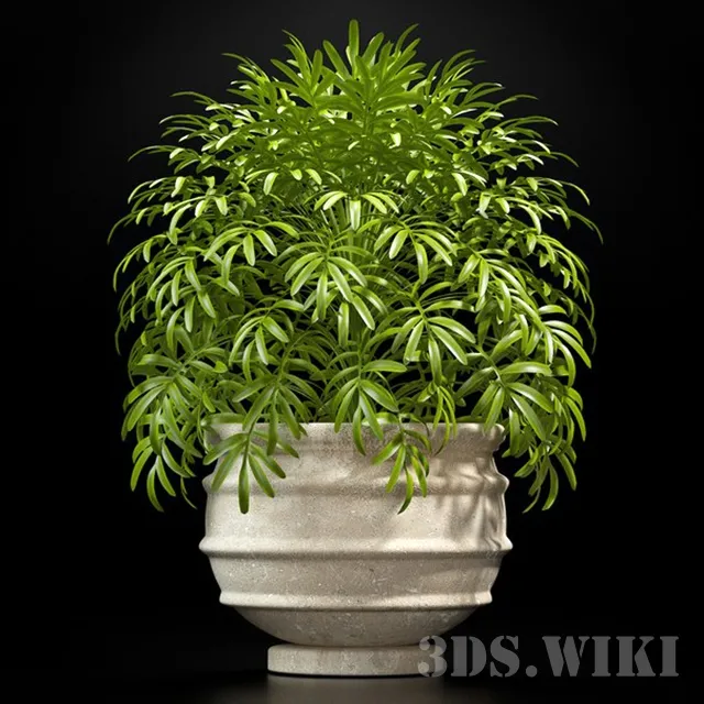 decoration – Beautiful potted plant 3ds Max