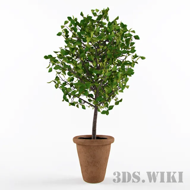 decoration – Beautiful tree plant 3ds Max