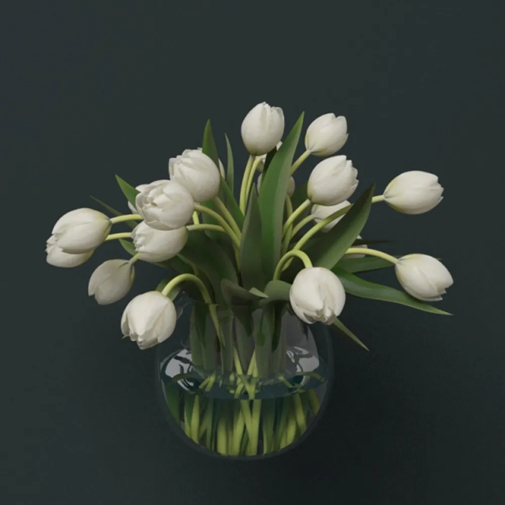 decoration – Beautiful white tulips 3ds Max