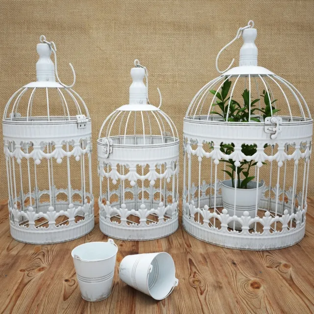 decoration – Bird Cage 3ds Max