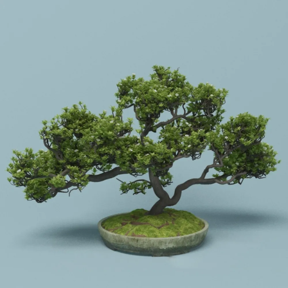decoration – Bonsai 3ds Max