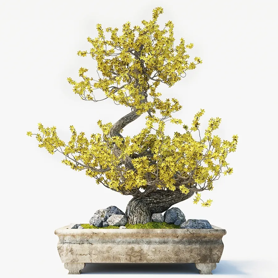 decoration – Bonsai 3ds Max