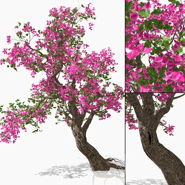 decoration – Bougainvillea 3ds Max