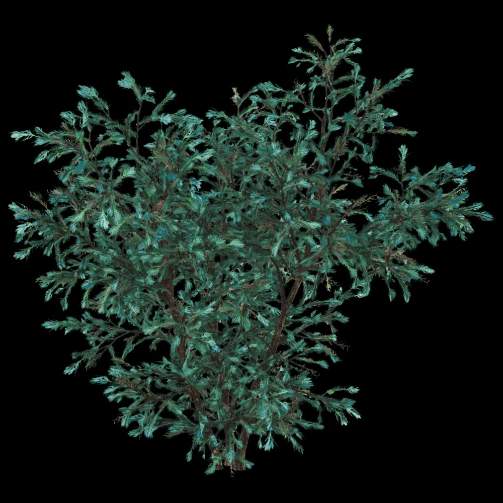 decoration – Boulevard Cypress 01 02 3ds Max