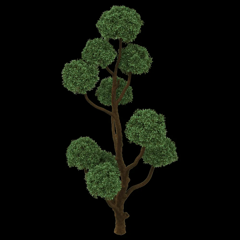 decoration – Boulevard Cypress 01 05 3ds Max