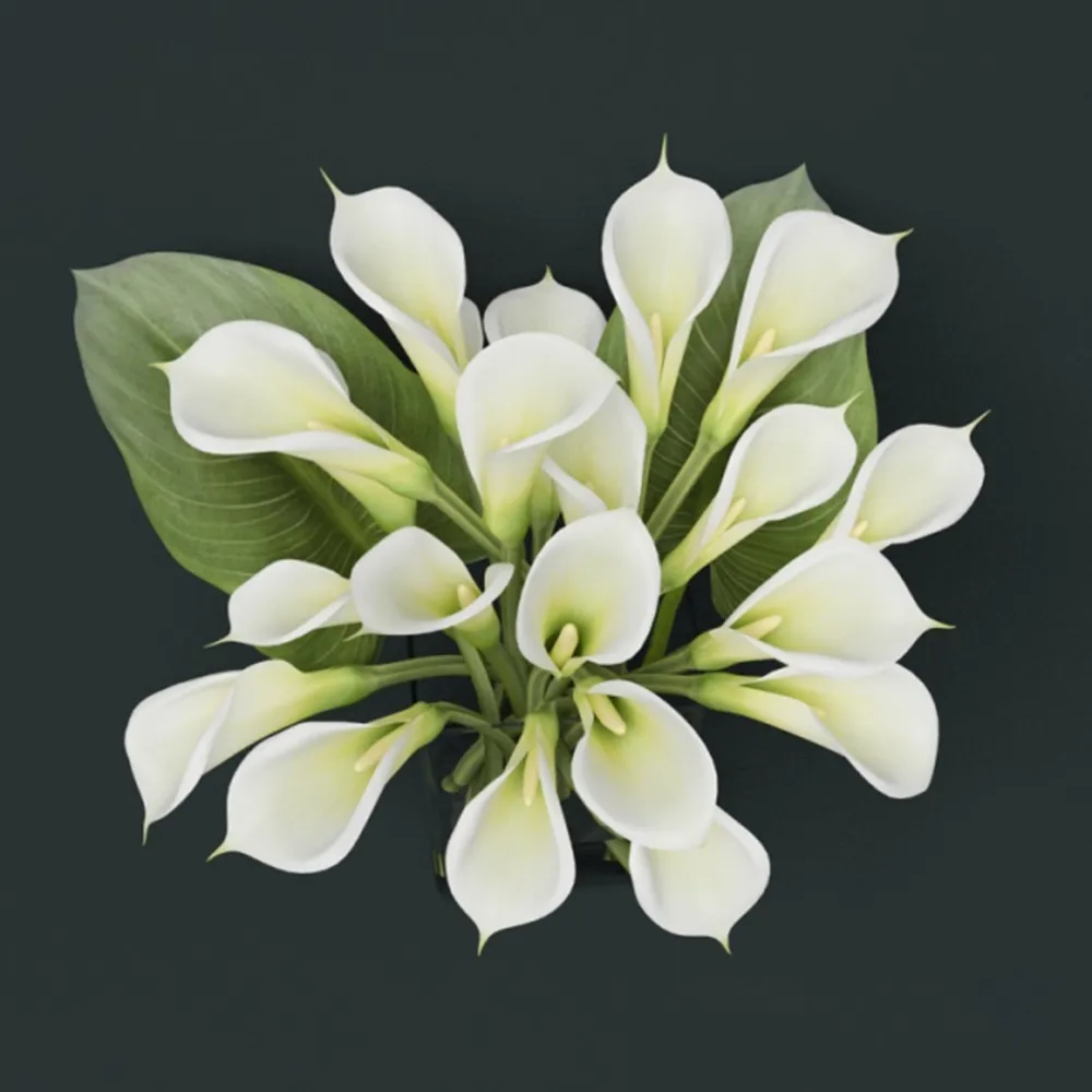 decoration – Bouquet of callas in a vase 3ds Max