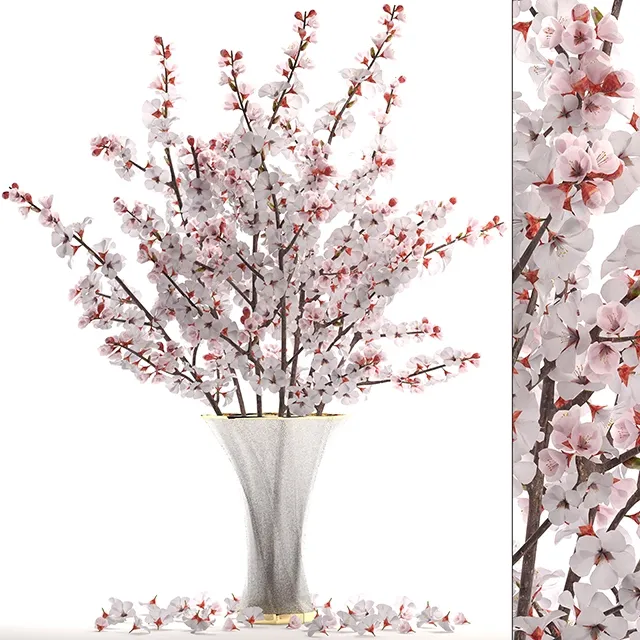 decoration – Bouquet of cherry blossoms 3ds Max