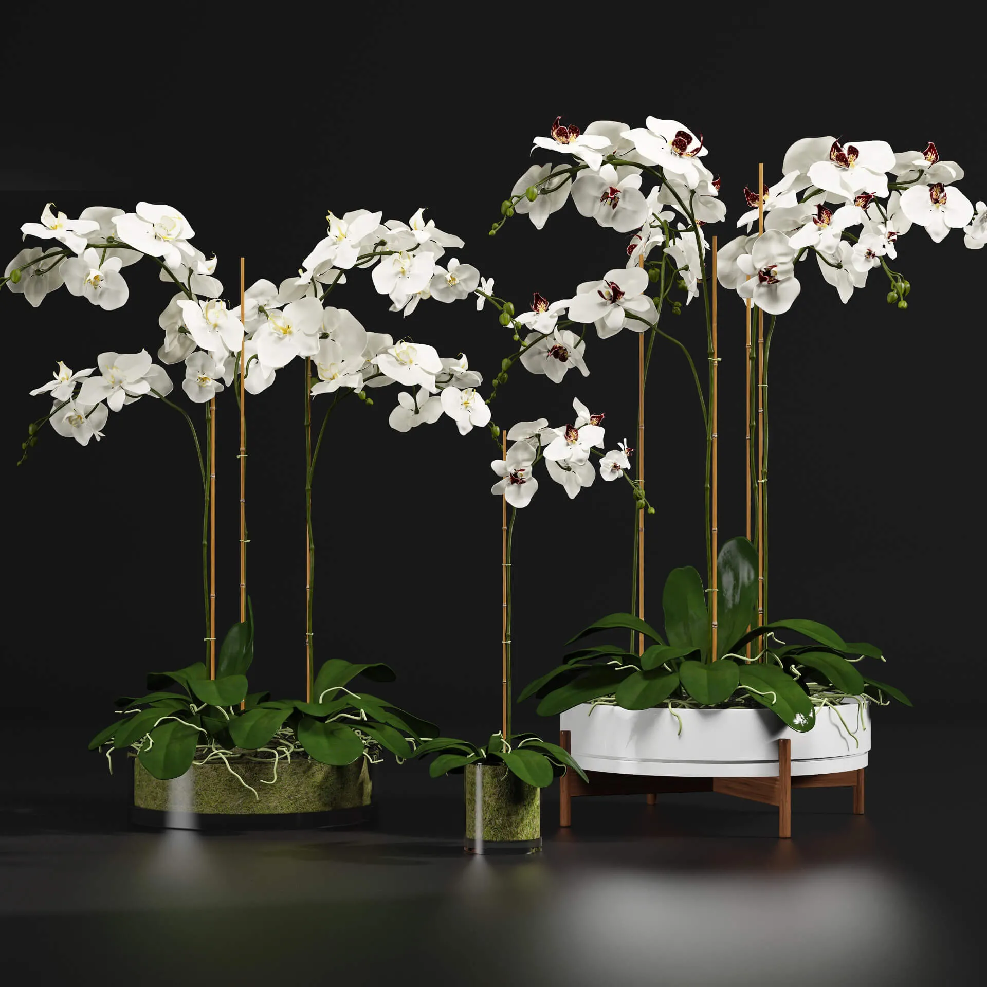 decoration – Bouquet of orchids 04 3ds Max