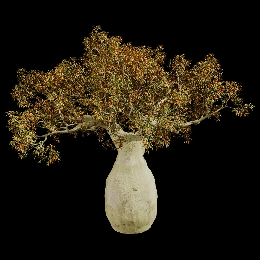 decoration – Brachychiton Rupestris 01 03 3ds Max