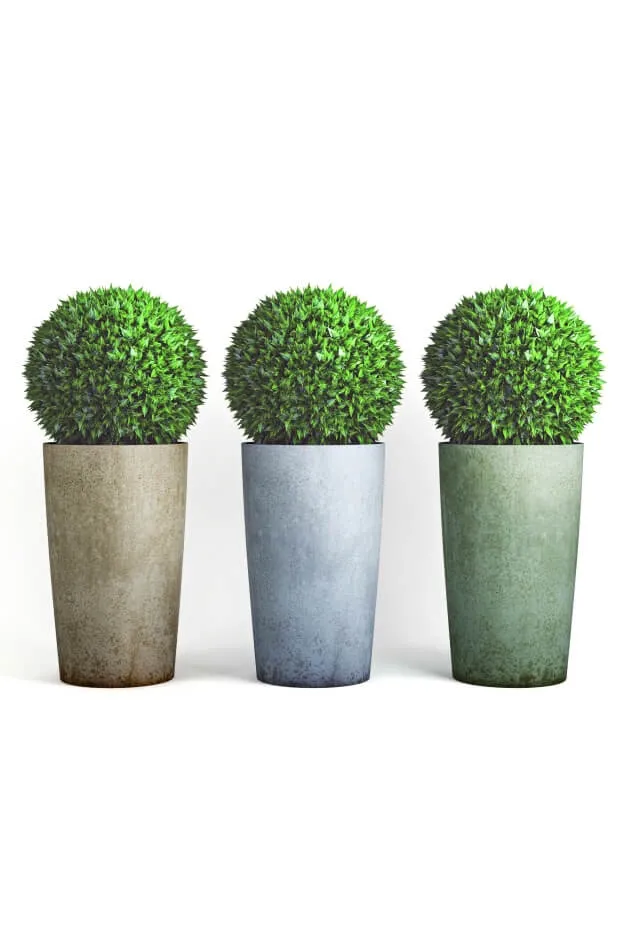 decoration – Bushes 3ds Max