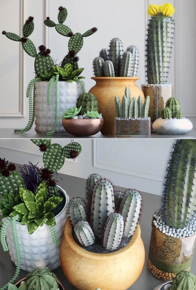 decoration – Cacti 3ds Max