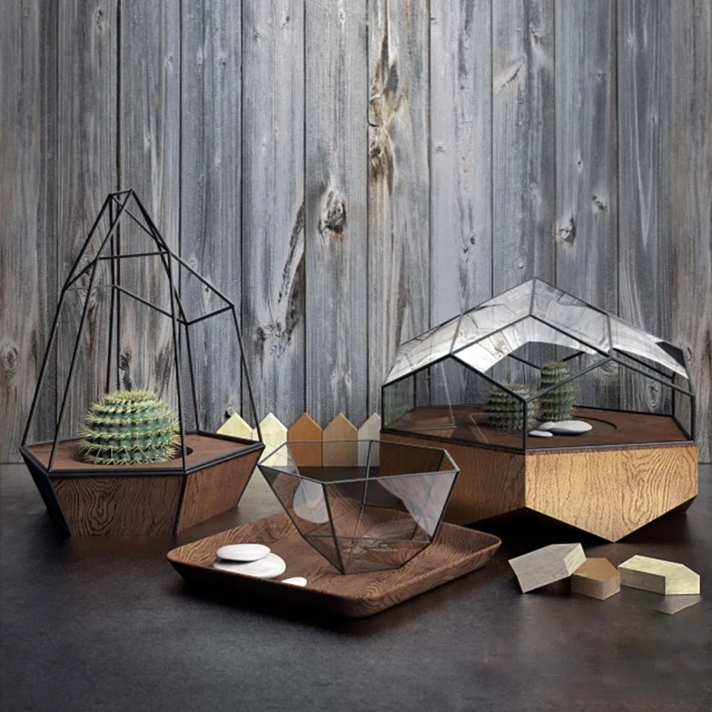 decoration – Cacti in decorative pots 3ds Max