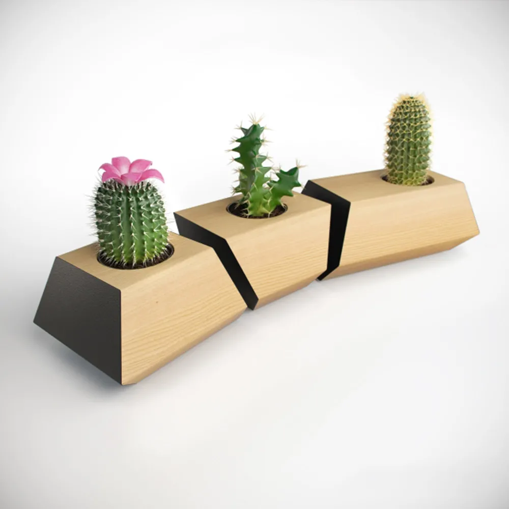 decoration – Cacti in pots 3ds Max