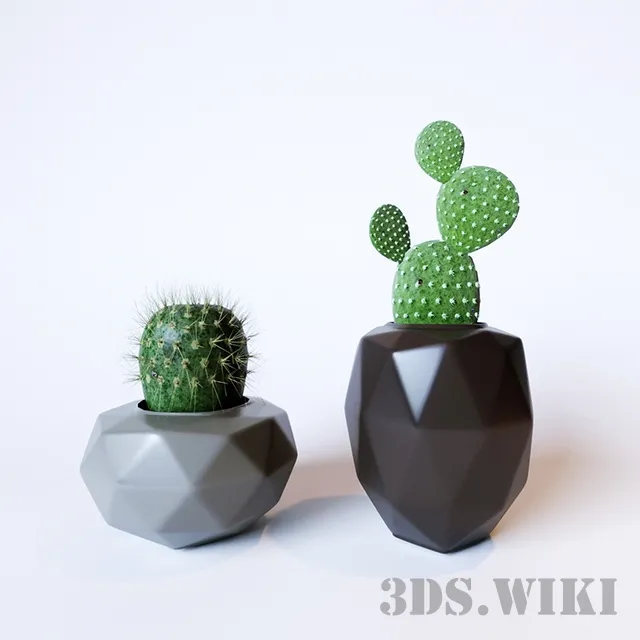 decoration – Cacti in vases 3ds Max