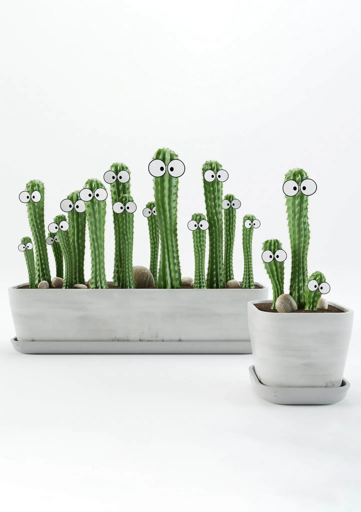 decoration – Cactus 3ds Max