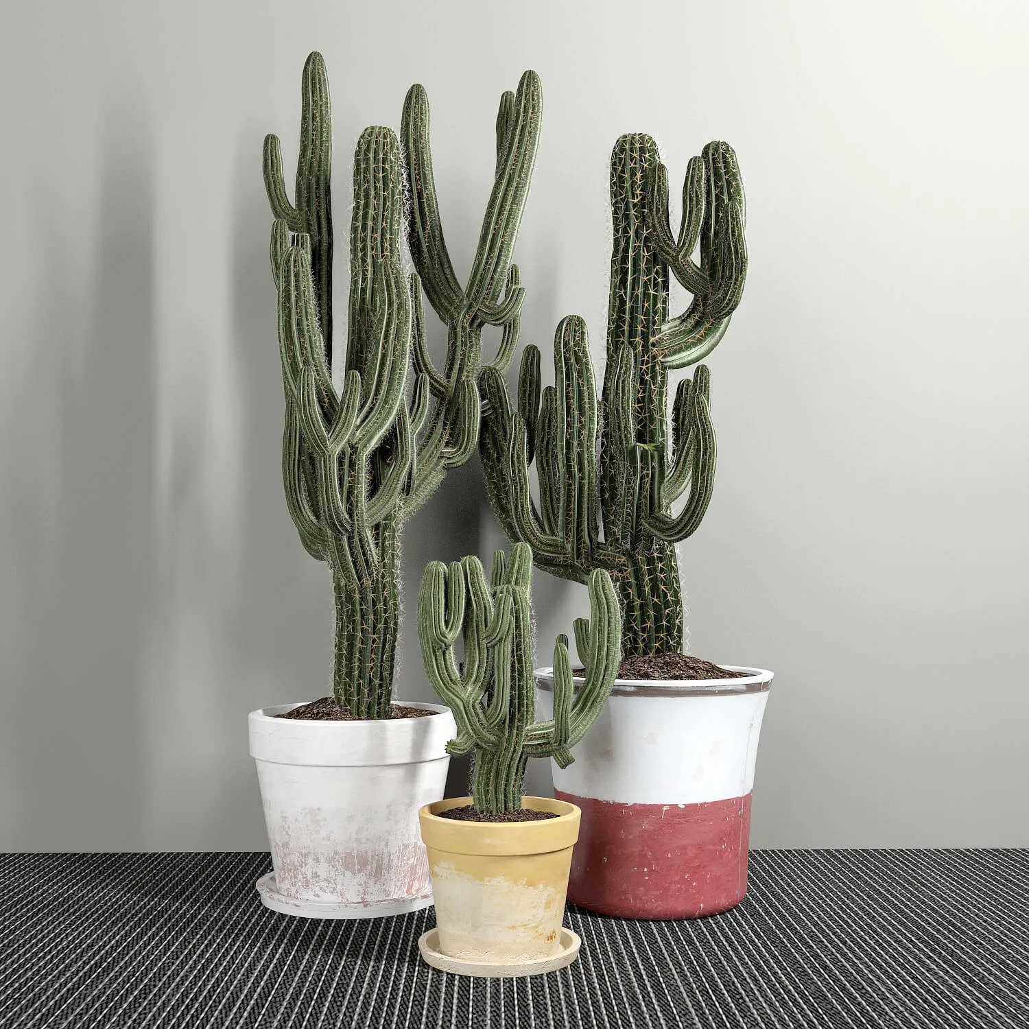 decoration – Cactus 56 3ds Max