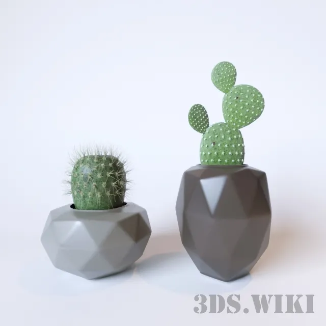 decoration – Cactus in beautiful decorative vases 3ds Max