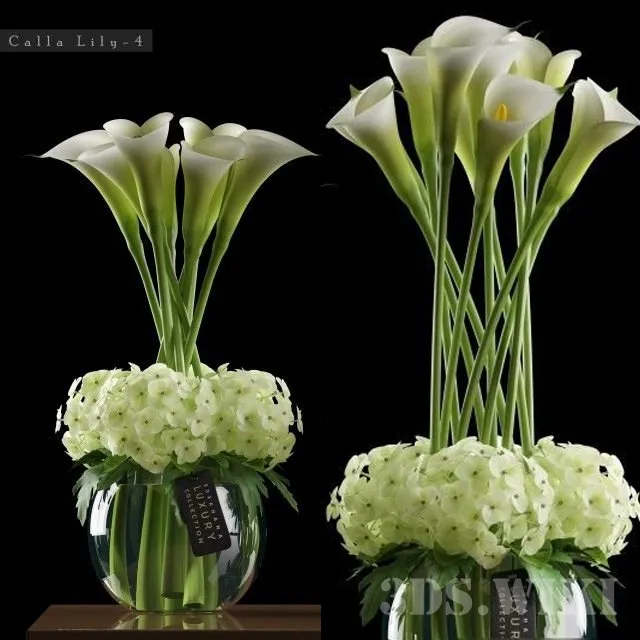 decoration – CALLA LILLY 4 3ds Max
