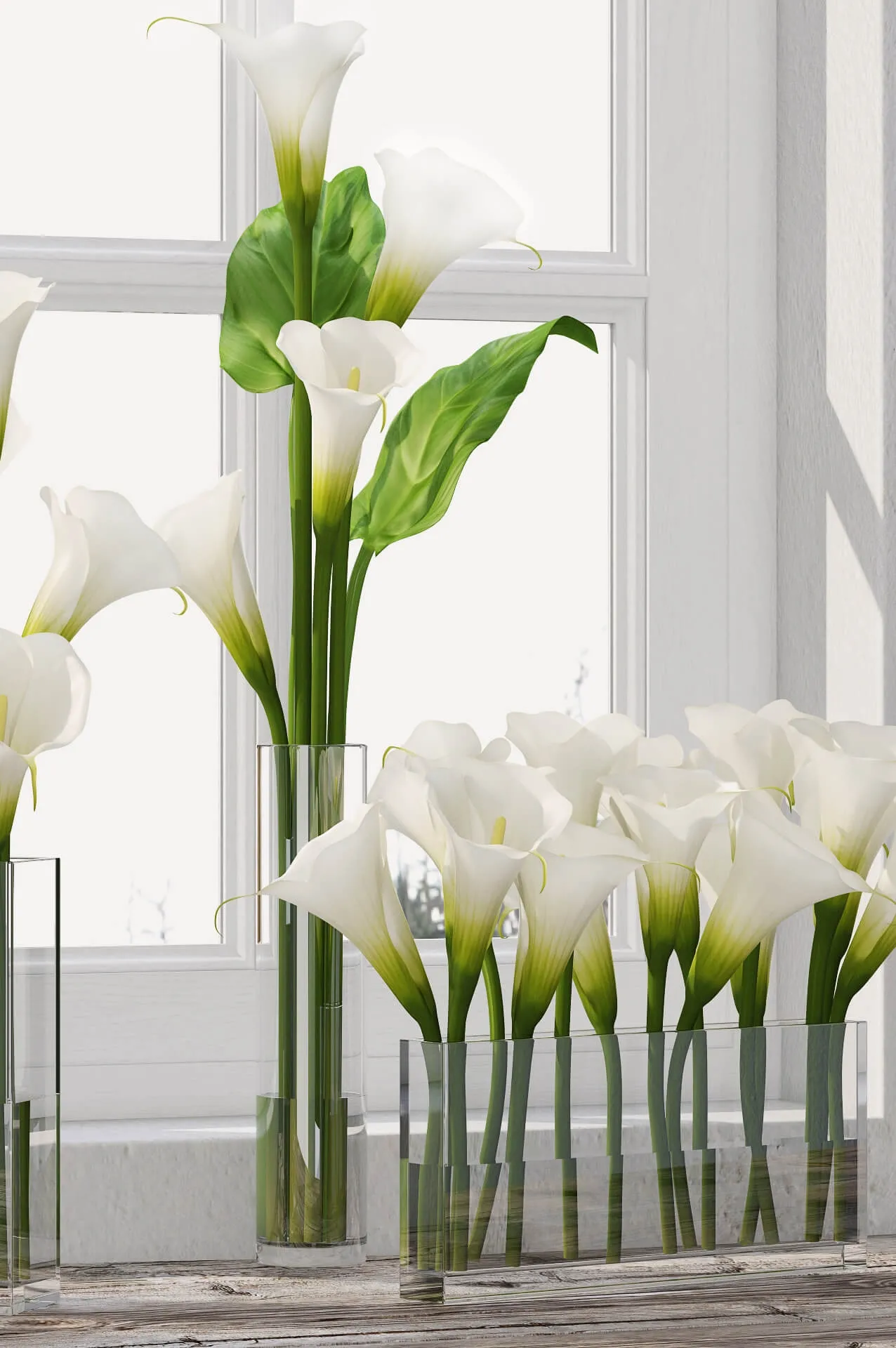 decoration – Calla Lily  05 3ds Max