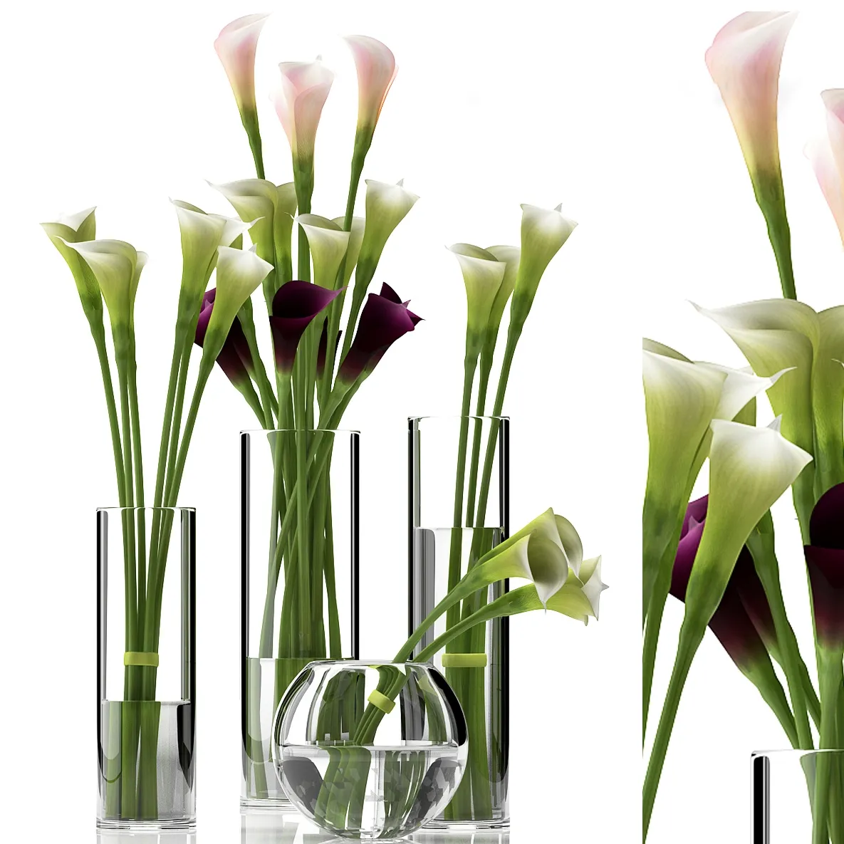 decoration – Calla Lily 2 3ds Max