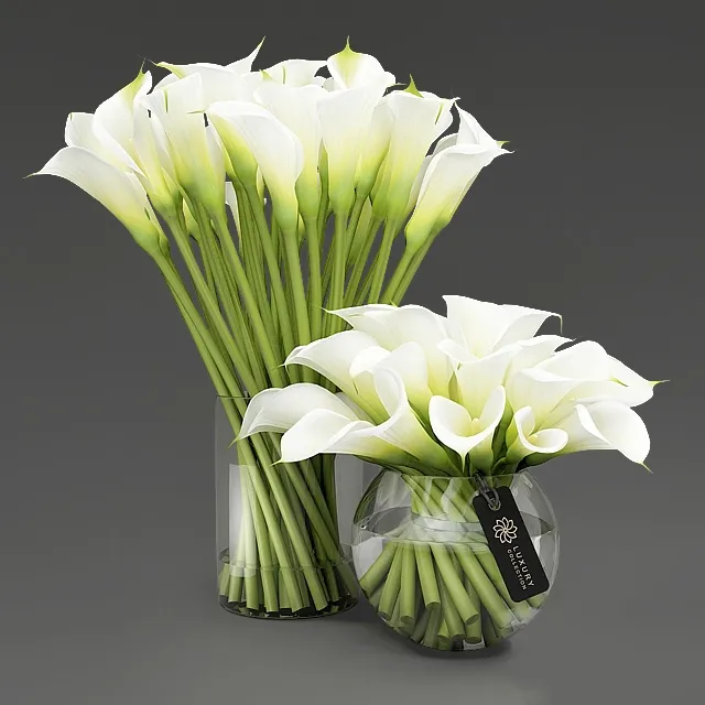 decoration – Callas in a vase 3ds Max