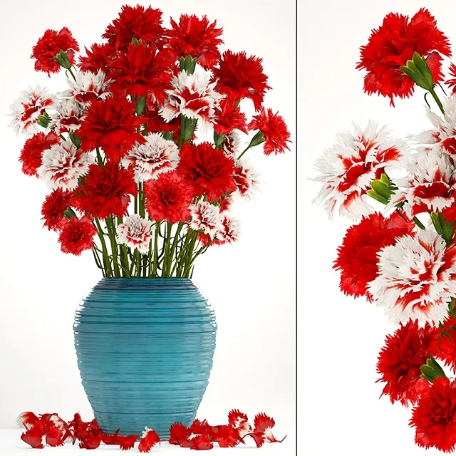 decoration – Carnation 3ds Max