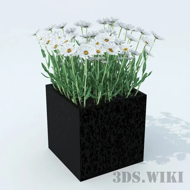 decoration – Chamomile 3ds Max