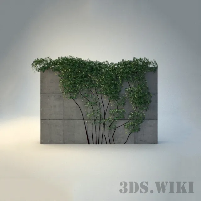 decoration – Climbing plants for the yard 3ds Max