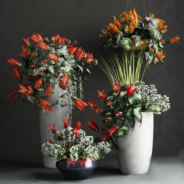 decoration – Collection of Confetti 3ds Max