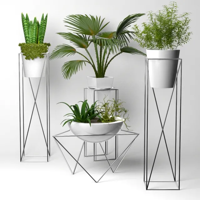 decoration – Collection of plants 3ds Max