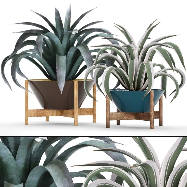 decoration – Collection of plants 3ds Max