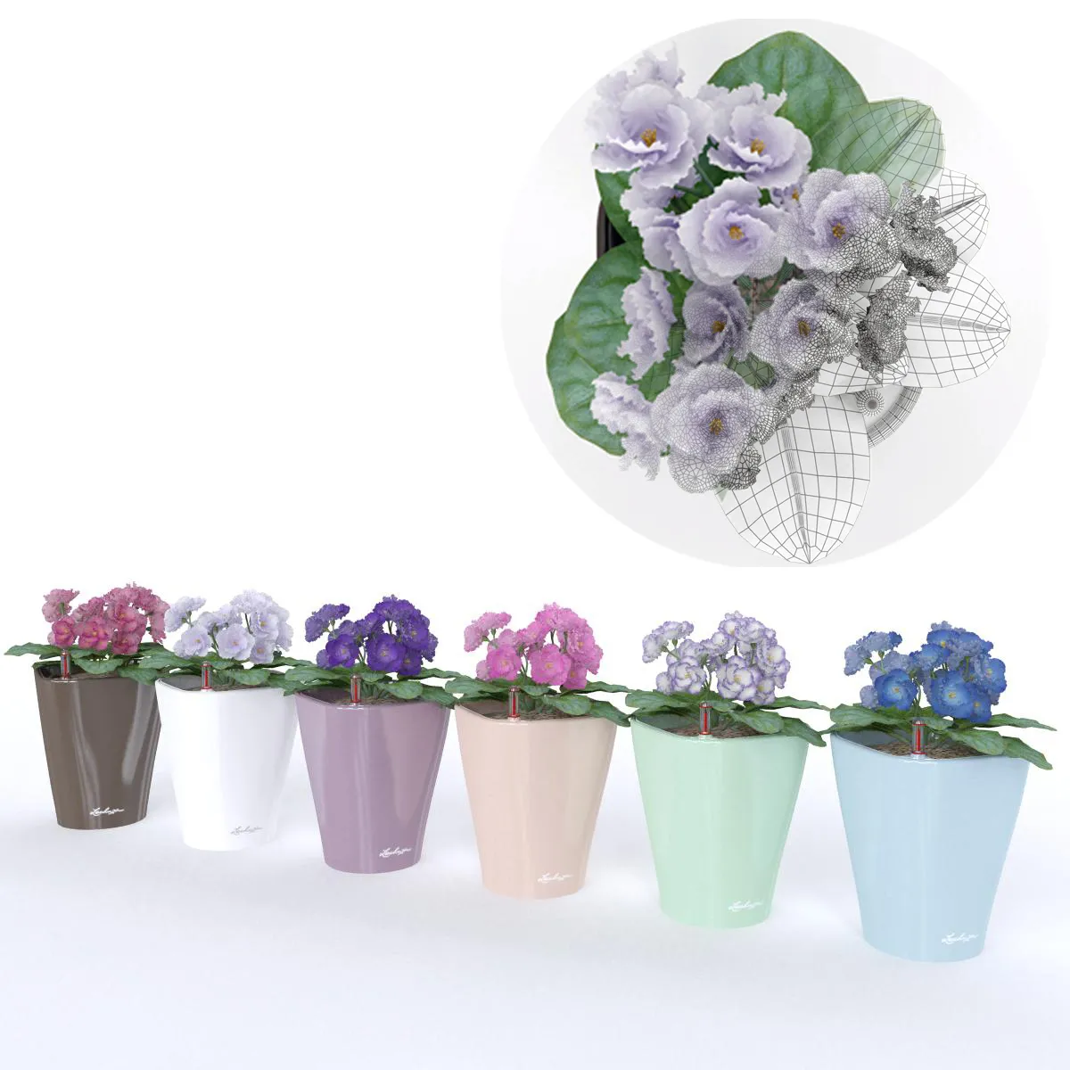 decoration – Colored violets 01 3ds Max